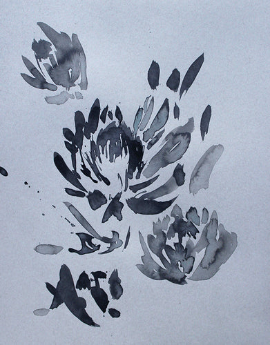 Blue Protea 1